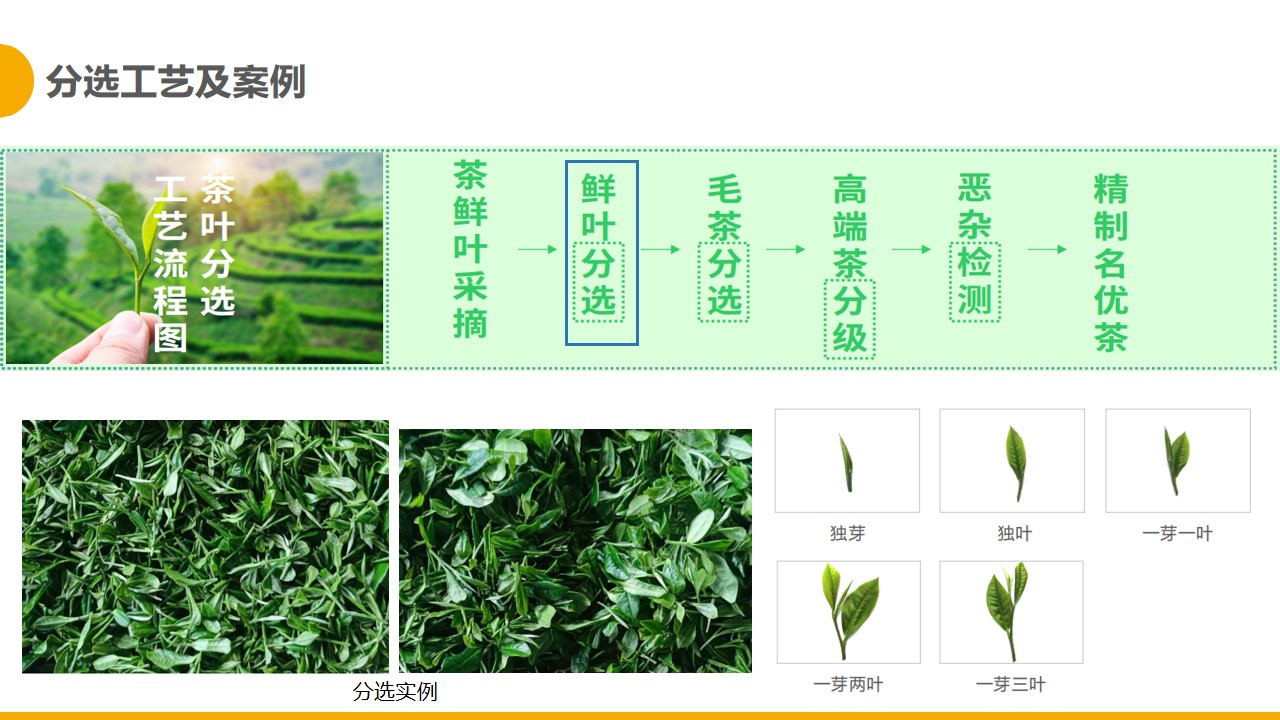 http://www.ls7437f.cn/Upload/ueditor/1681280335278777.jpg