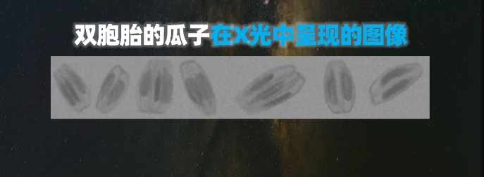 http://www.ls7437f.cn/Upload/ueditor/1739781751262784.png