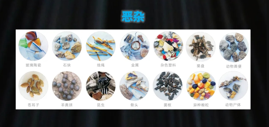 http://www.ls7437f.cn/Upload/ueditor/1739781798851232.png
