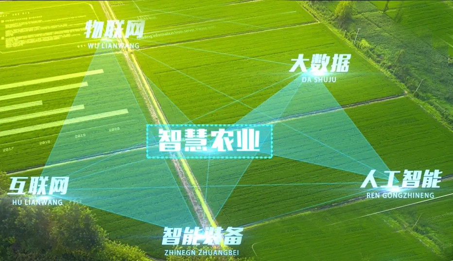 http://www.ls7437f.cn/Upload/ueditor/1743472775737739.jpg