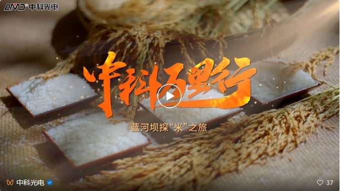 http://www.ls7437f.cn/Upload/ueditor/1743473561850796.png